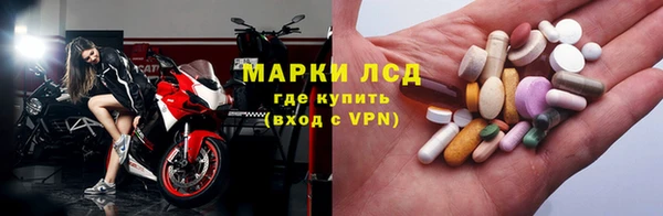 дживик Новозыбков