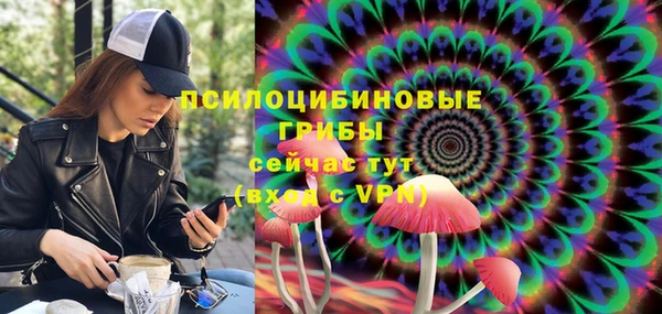ALPHA PVP Новодвинск