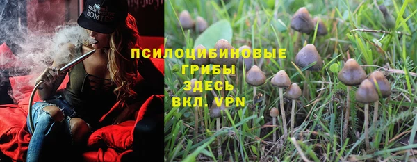 дживик Новозыбков