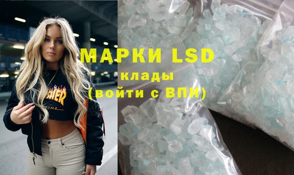 дживик Новозыбков