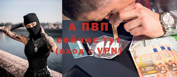 дживик Новозыбков