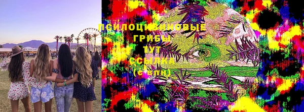 МДПВ Новокубанск