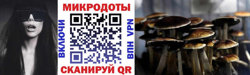 Псилоцибиновые грибы мицелий  цена наркотик  Разумное 